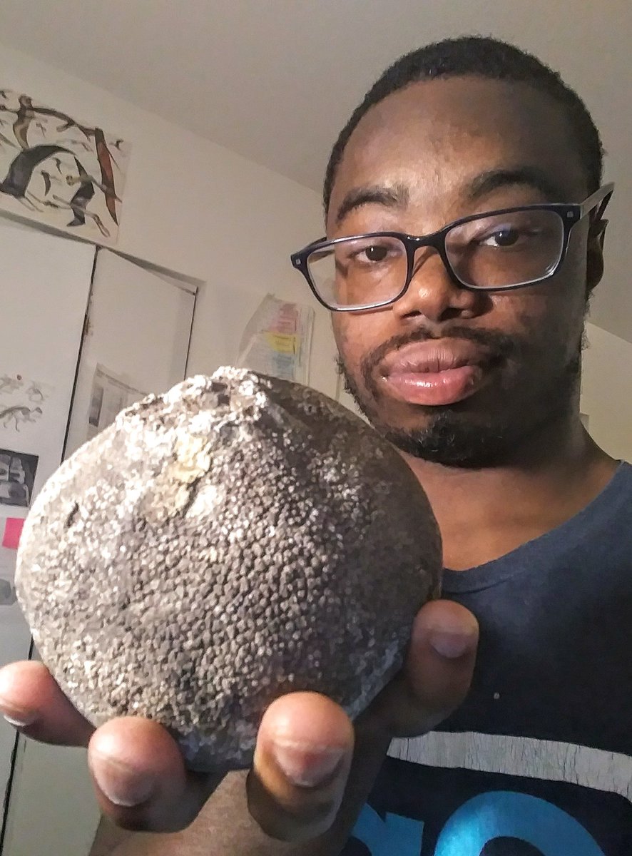 Cameron Muskelly (Explorer of Deep Time) 🕒 tweet media