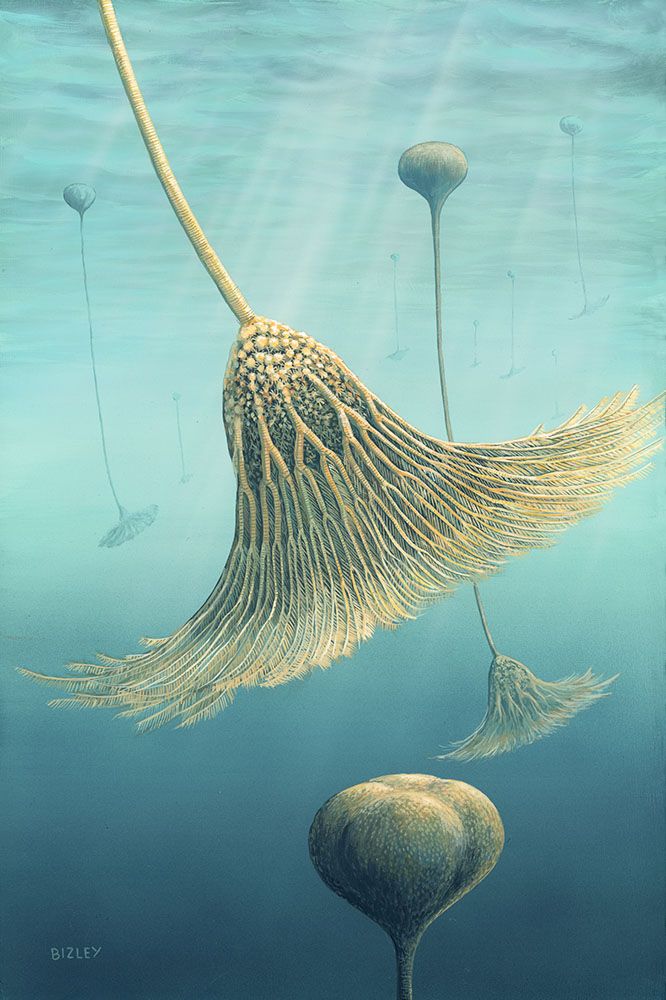 Cameron Muskelly (Explorer of Deep Time) 🕒 tweet media