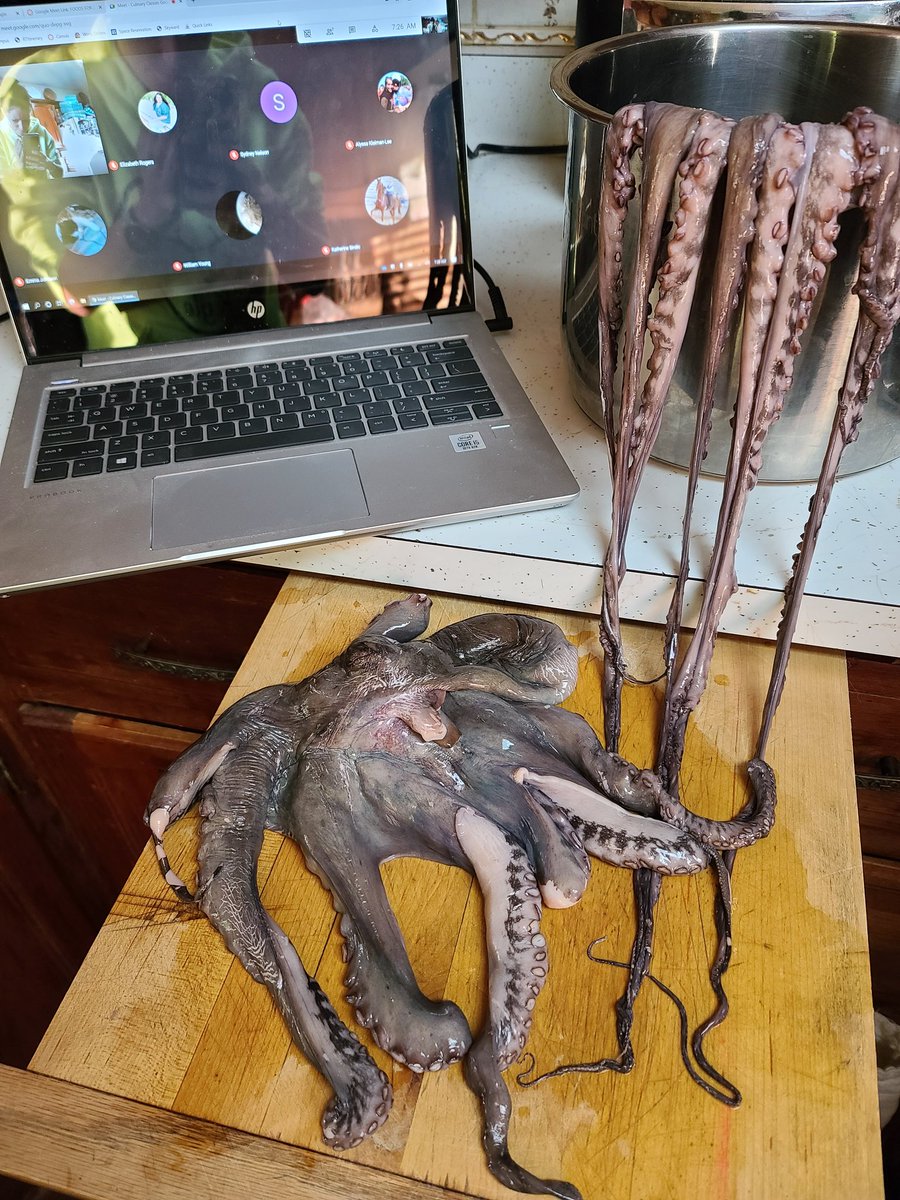 Want to know what keeps kids engaged in a virtual cooking class?   Teaching them how to prepare octopus!  #kmhsculinary #virtual #ceviche #homekitchen #teachingin2020