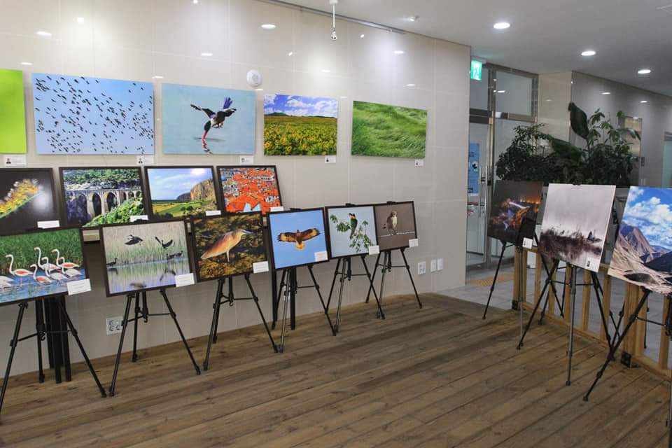 Güney Kore'de fotoğraflarımız sergilenmeye başladı...