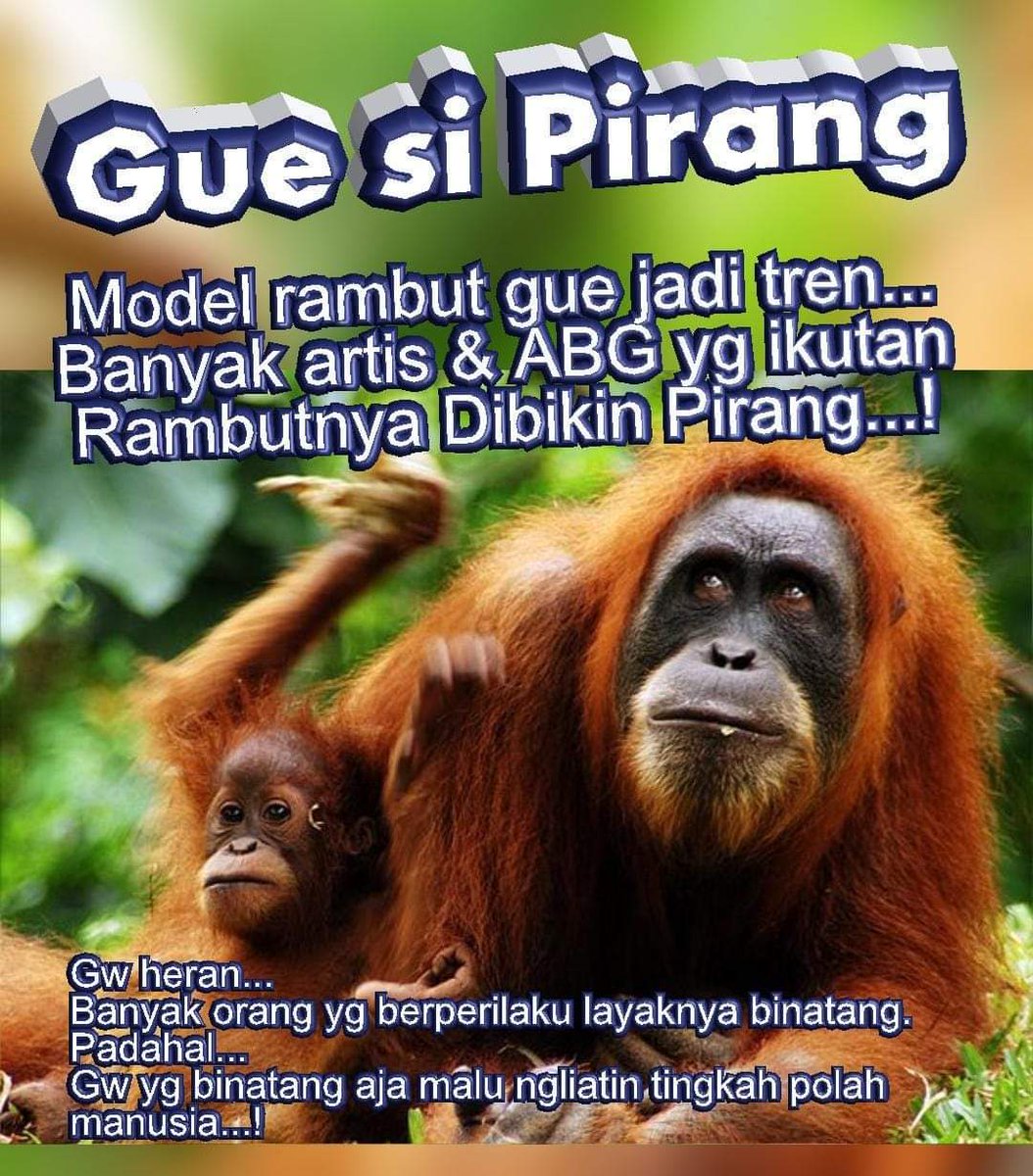 Ingusan Channel tweet media