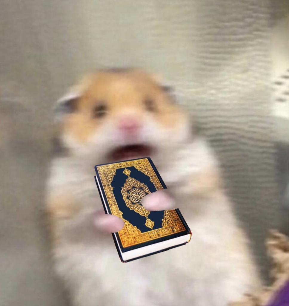 meme stress; a much needed thread for gojo stans. simpanlah thread ini utk persiapan stress mu.