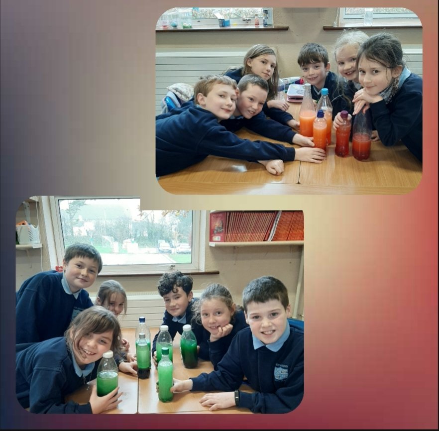 Boolavogue_NS's tweet photo. #ScienceWeek2020 #lavalamps #oil #alkaselser #3rd4th #emulsion #chemicalreaction https://t.co/K9bFIWrqYf