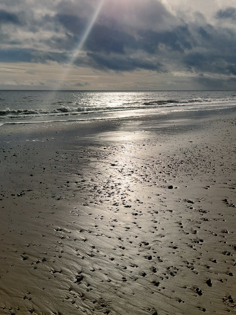 LittleMeThatter's tweet image. Day5 #10kstepchallenge was alot colder today. Seen my Buddy. 🐶😃