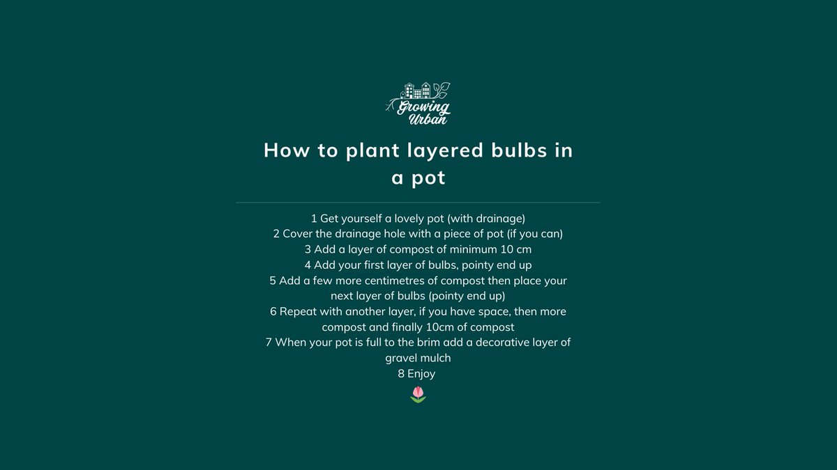 Growing Urban tweet media