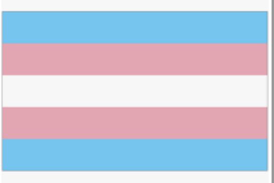 Proud to support our Transgender <a href="/Imperialpeople/">Imperial People 💙</a> at work and in our community during Trans Awareness Week &amp; always. #ImperialTransAwareness Pronouns: she/her