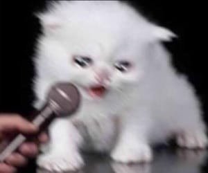 meme stress; a much needed thread for gojo stans. simpanlah thread ini utk persiapan stress mu.