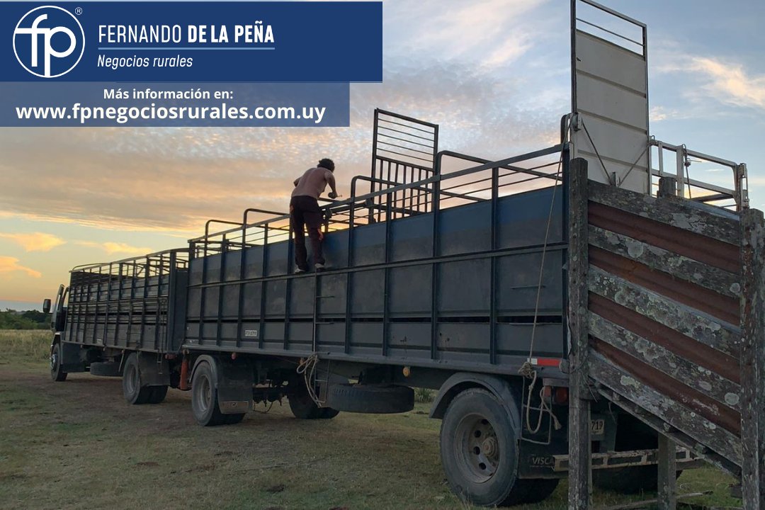FPNegRurales's tweet photo. Negocios Rurales 

Las mejores opciones para comercializar su hacienda, consúltenos.

Por más información:

https://t.co/ICwwp87m3p

#uruguay  #uruguayganadero #negociosrurales  #campouruguayo https://t.co/XkdCFuo1so