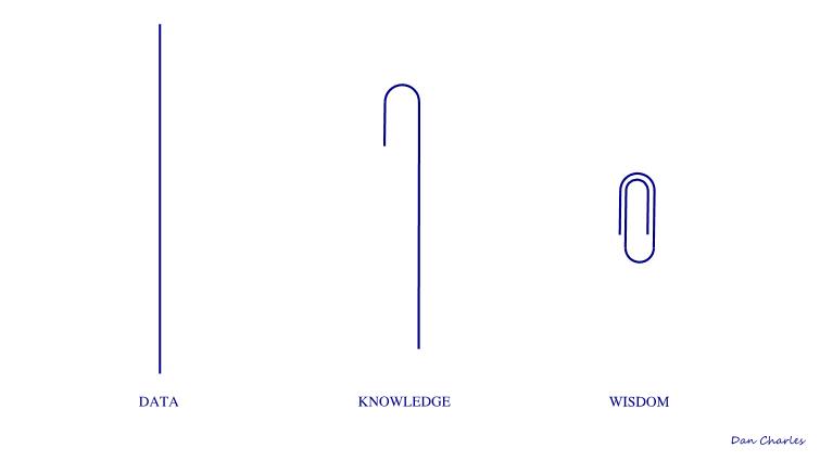 Data is abundant. Knowledge needs action.

Wisdom remains hidden in plain sight.