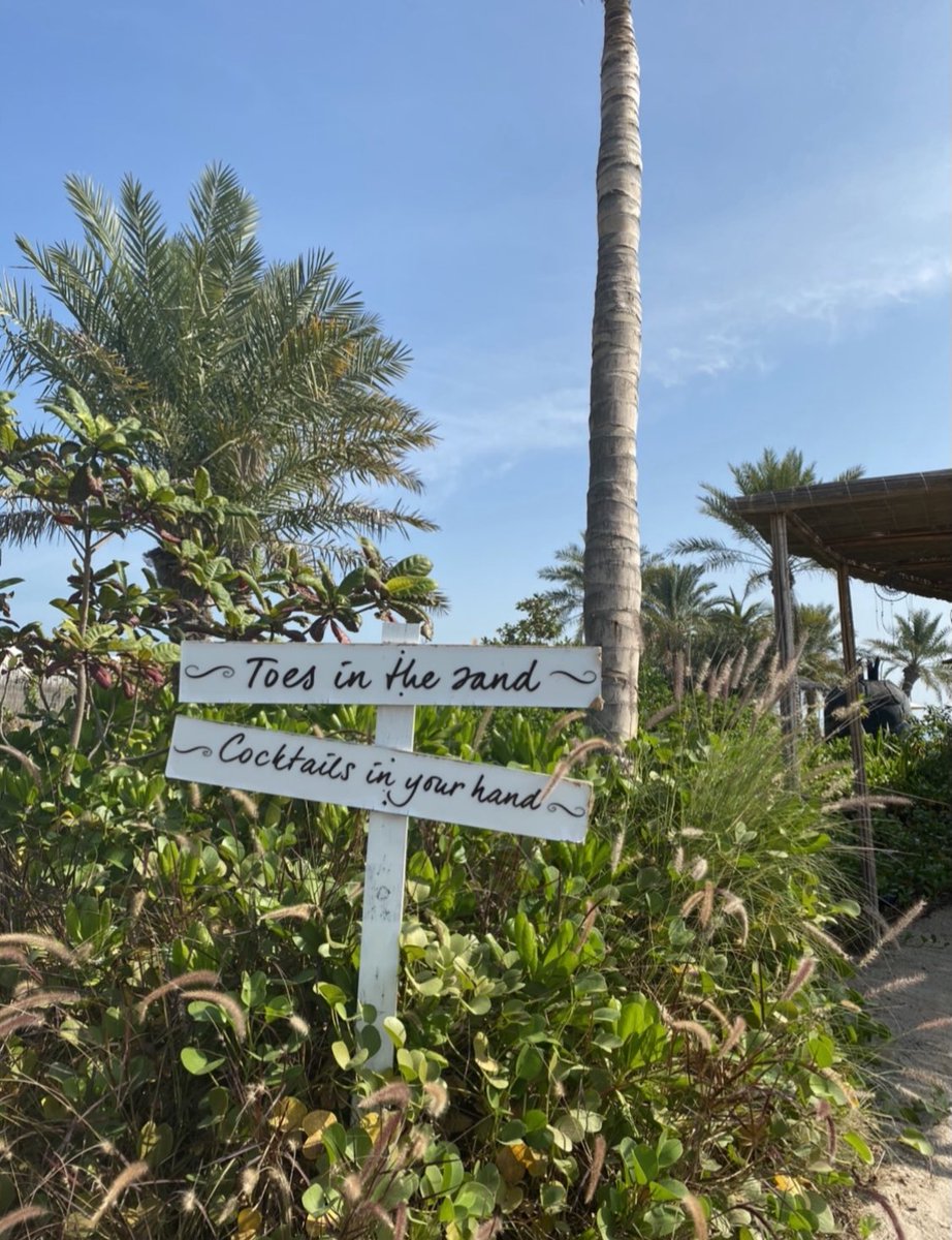 fkalss_'s tweet photo. Palm trees and ocean breeze https://t.co/rQHPtuii4u