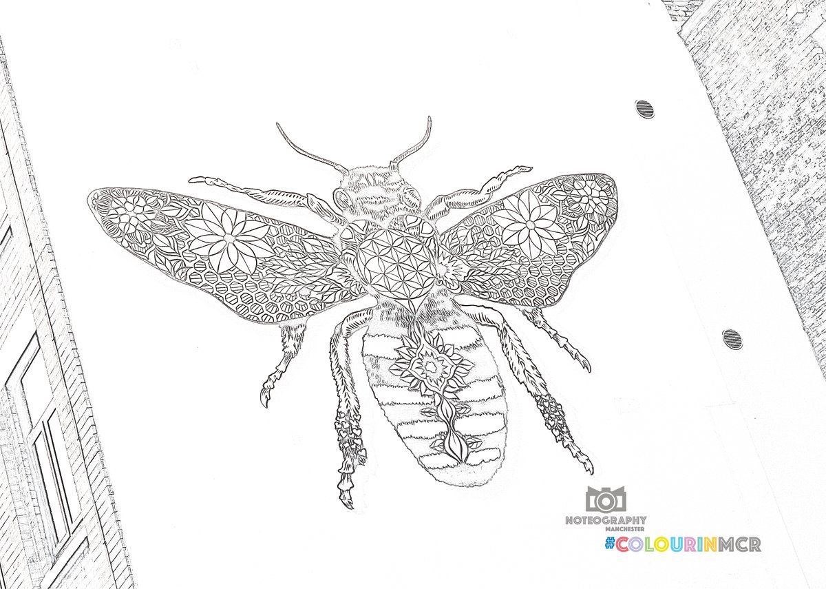 madeinmanc's tweet photo. On #WorldKindessDay 

🐝 I'm donating 100% of sales of my #ColourInForGood Colouring Book of Manchester to @MCR_Charity

🐝 They make great gifts &amp; help with mindfulness by colouring in a fun way our amazing city of #Manchester

🐝 Get it at https://t.co/wjBBgnavq9 https://t.co/YkP9usGCaE