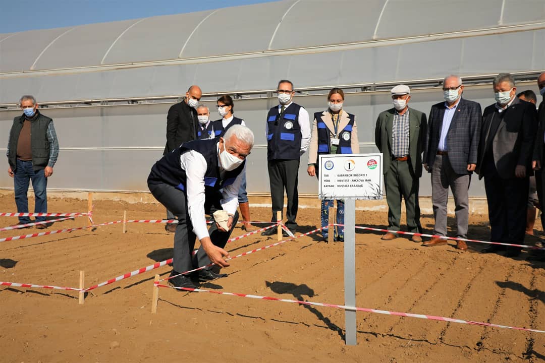 Osman Gürün