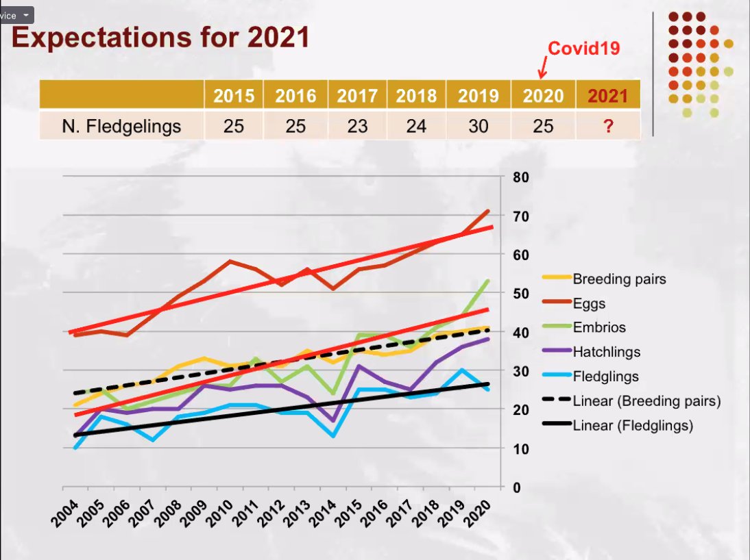 I wish for many successful future floofs.