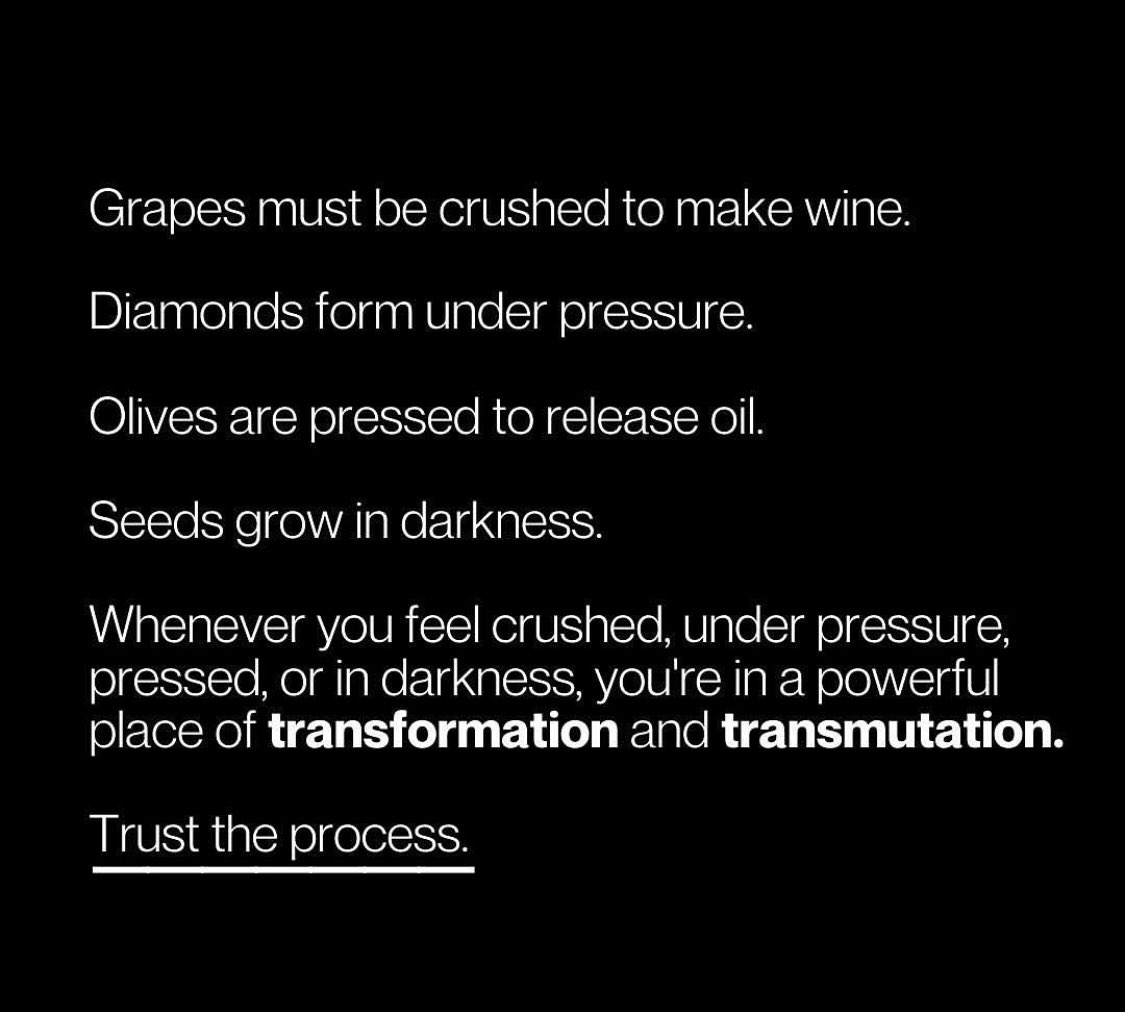 mroyer21's tweet photo. https://t.co/L07p9XpHDd