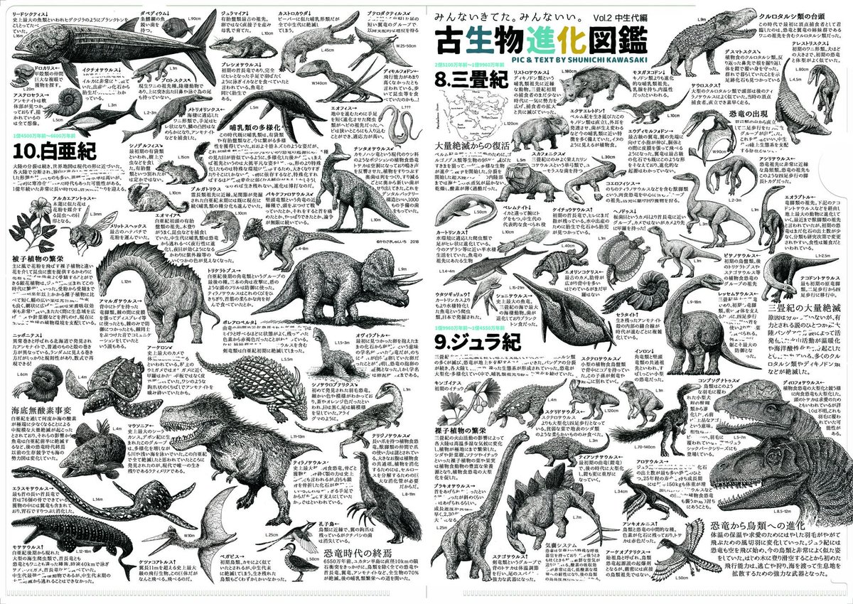 A4クリアファイル3枚のシリーズで200種超えの古生物の図や、当時の出来事も踏まえた解説を無理やり詰め込み先カンブリア紀から現代までの生き物の進化の"流れ"を説明する #古生物進化図鑑 シリーズも #2020いえもにあ で明日9時から販売!中に紙を入れなければお風呂場でも古生物の勉強ができます... 