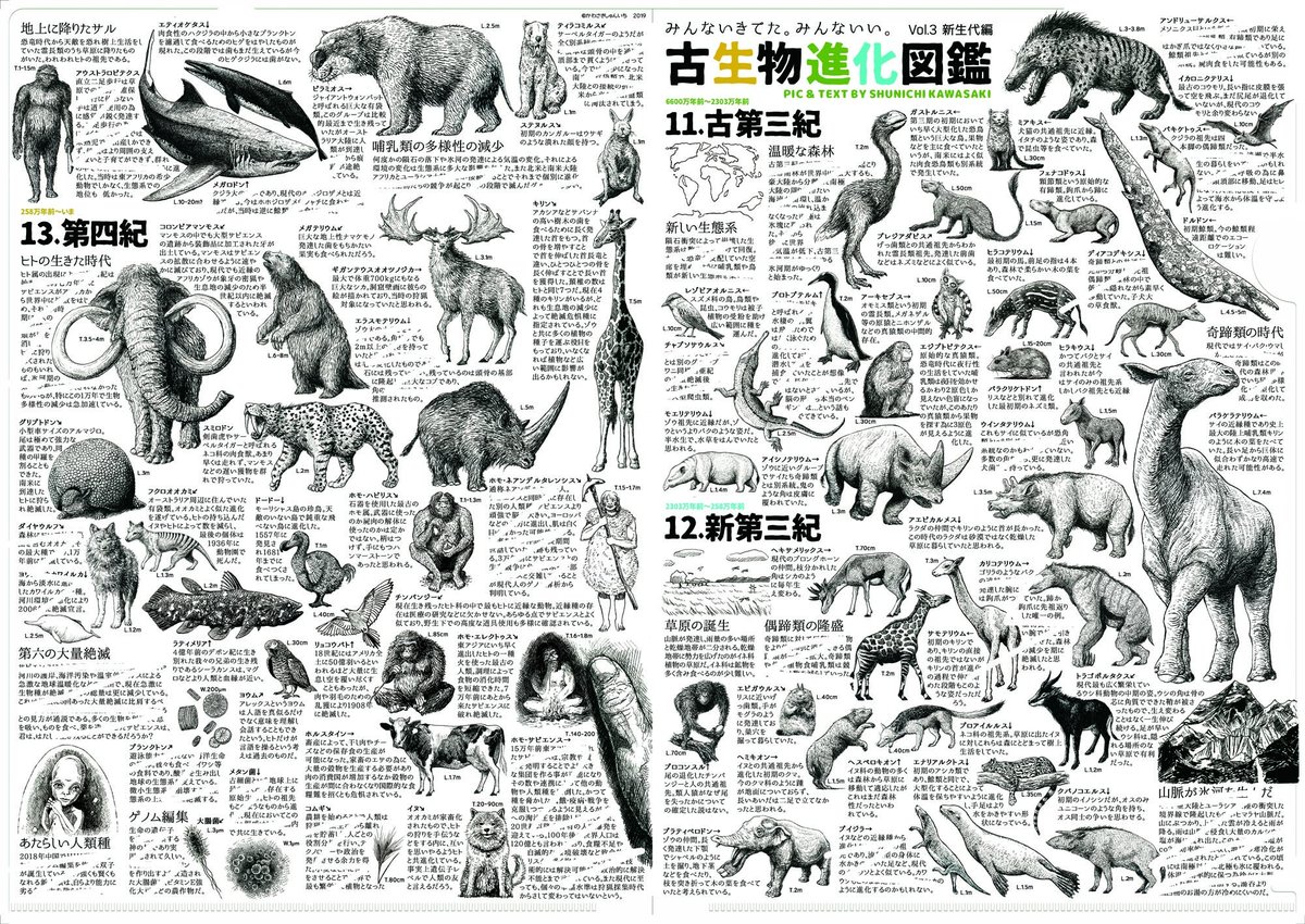 A4クリアファイル3枚のシリーズで200種超えの古生物の図や、当時の出来事も踏まえた解説を無理やり詰め込み先カンブリア紀から現代までの生き物の進化の"流れ"を説明する #古生物進化図鑑 シリーズも #2020いえもにあ で明日9時から販売!中に紙を入れなければお風呂場でも古生物の勉強ができます... 