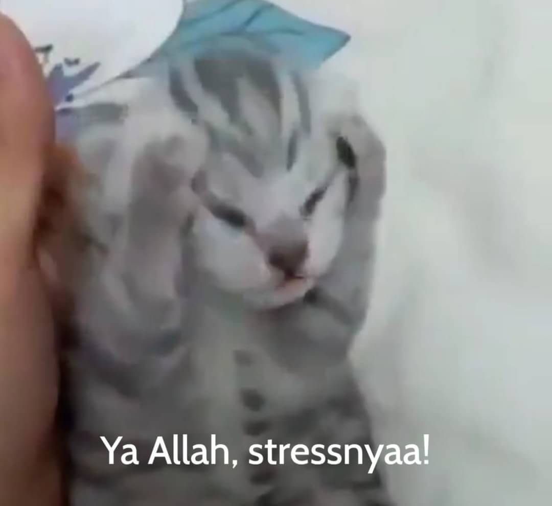meme stress; a much needed thread for gojo stans. simpanlah thread ini utk persiapan stress mu.