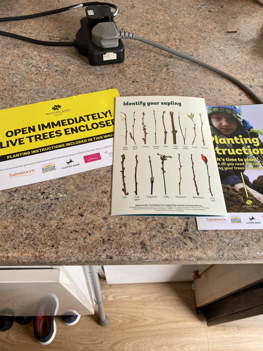 FOSROS1's tweet image. The trees have arrived! Thank you @WoodlandTrust