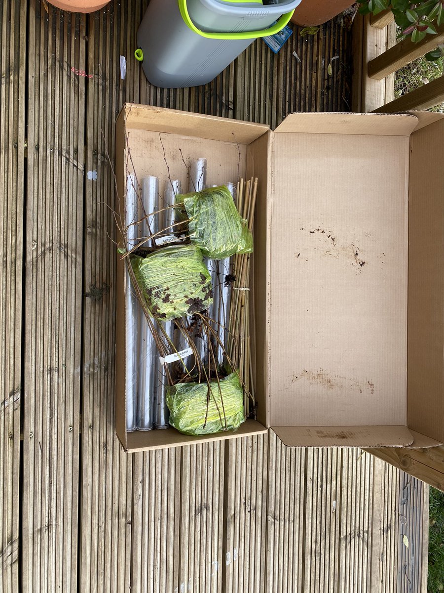 FOSROS1's tweet image. The trees have arrived! Thank you @WoodlandTrust