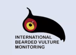 Can we just appreciate the graphic design of the IBM logo for a minute?  #BeardedVultureWebinar