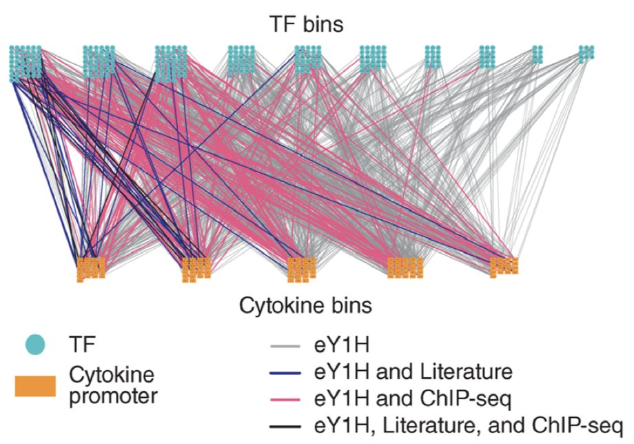 Juan Fuxman Bass tweet media