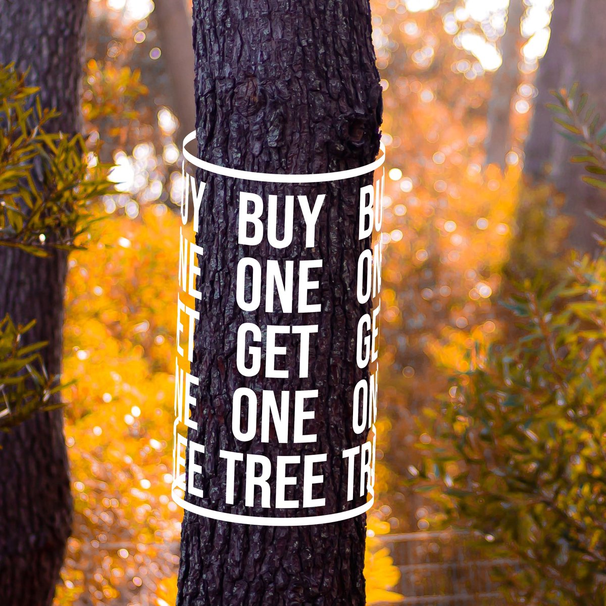 WildwoodTrust's tweet image. Our partners at Teemill are planting a tree for every purchase of Wildwood clothing this weekend.

Shop now at
wildwoodtrust.teemill.com

#treeplanting #sustainableclothes #lifestyle #saveatree #nature