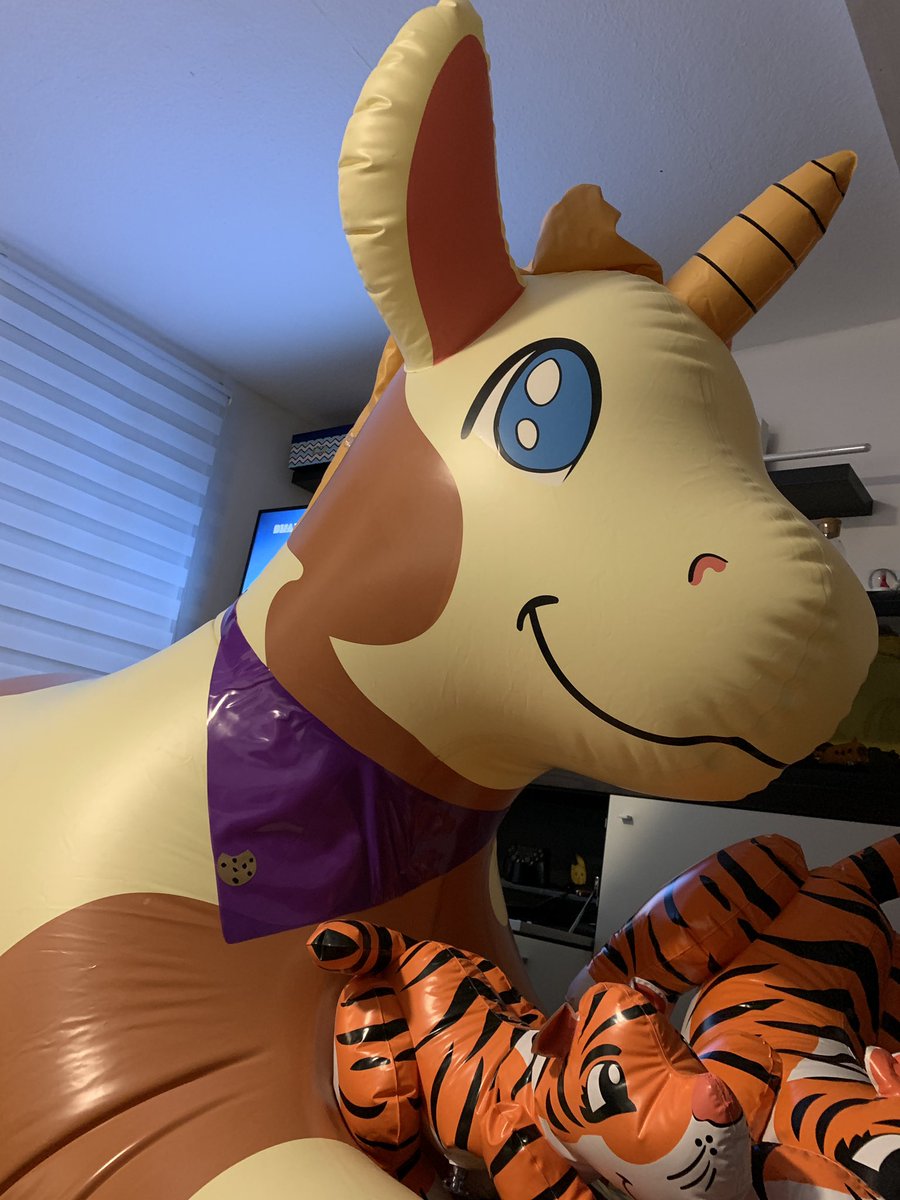 Squeaky_Gray's tweet photo. Old pic :3 Forget to post that. She looks so cute with her new Bandana. :3 

That toy would be always very special to me. Thanks @Spotty_Tiger19 ❤️ :3 

Thanks to @PhenodToy for creating that 

#cookie #pooltoy #inflatable #squeaky #ponycorn #aufblasbar #phenodtoy #tiger #unicorn https://t.co/ygAo7ZRrhV