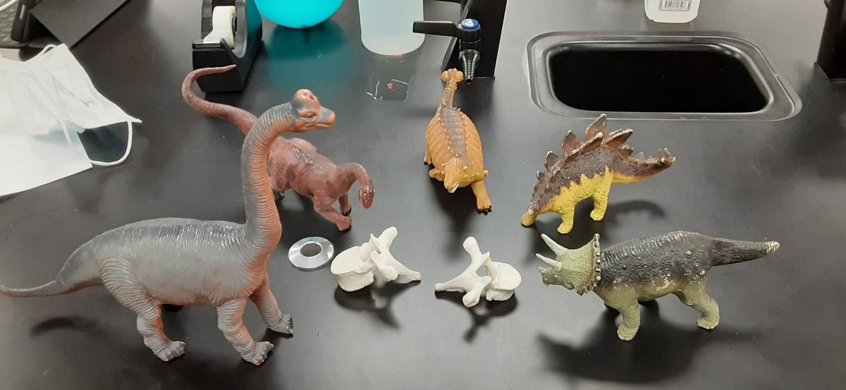 Thoracic Park  #vertebra #FridayFeeling <a href="/Kaitlin58302318/">Kaitlin Wilson</a> <a href="/ZavaletaLezly/">zavaleta</a> <a href="/ClaudiaV579/">Claudia Viramontes</a> <a href="/JDSimmsOfETX/">Justin Simmons</a> <a href="/JhenryScience/">Julie Henry</a> <a href="/ClaudeMLane/">Claude Lane</a>