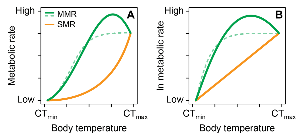 T_Norin's tweet image. My favourite part of preparing data for publication is making pretty figures (and drawing fish silhouettes). I make the raw figure in R and prettify it in Adobe Illustrator. Here's a few recent ones of varying complexity.