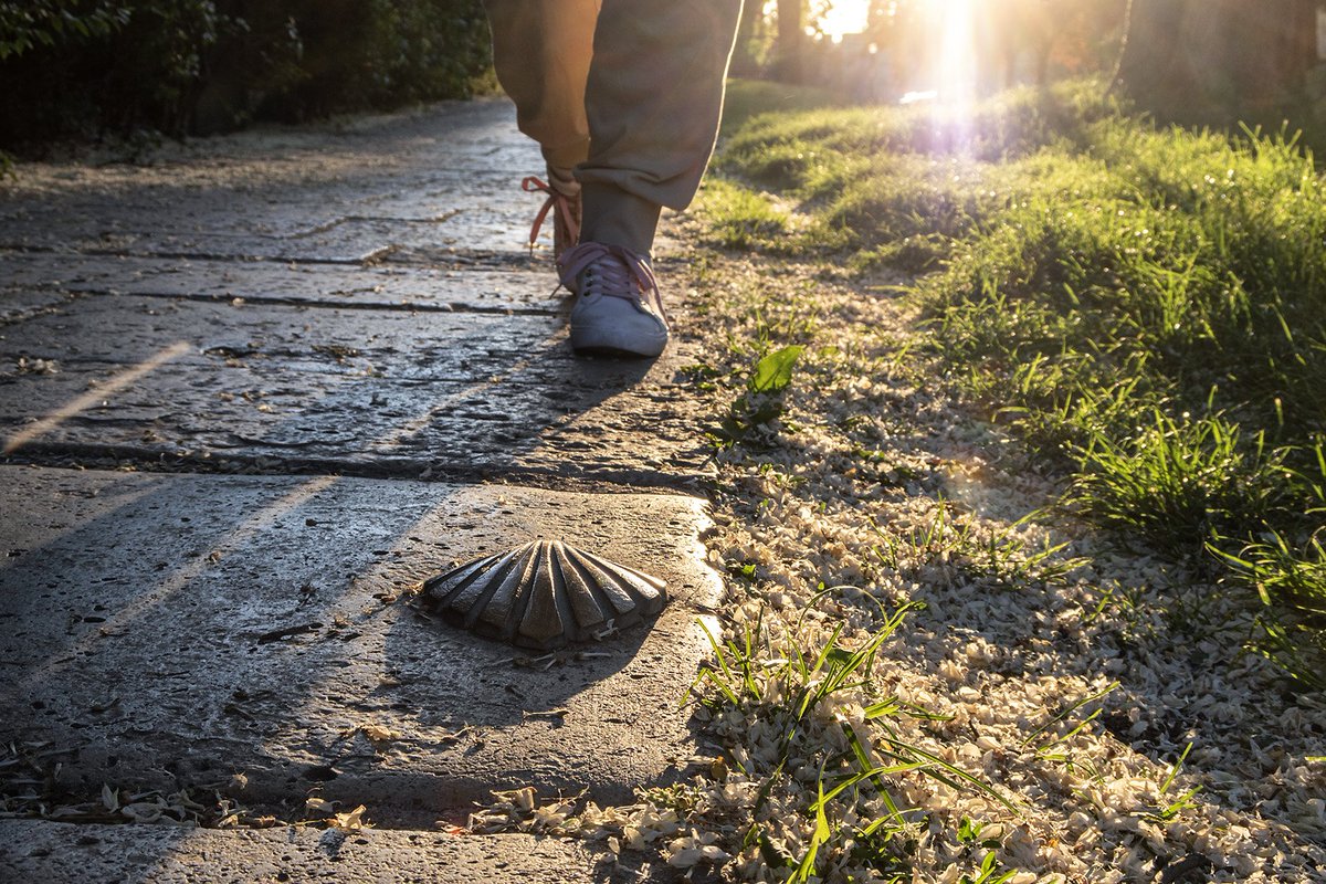Una ciudad en el Camino
#Burgos fue durante siglos la ciudad más hospitalaria de todo el trazado europeo del #CaminodeSantiago. Y sigue siendo uno de los enclaves más atractivos para los peregrinos. Seguro que, en 2021, Año Jacobeo, veremos a miles de ellos por nuestras calles.