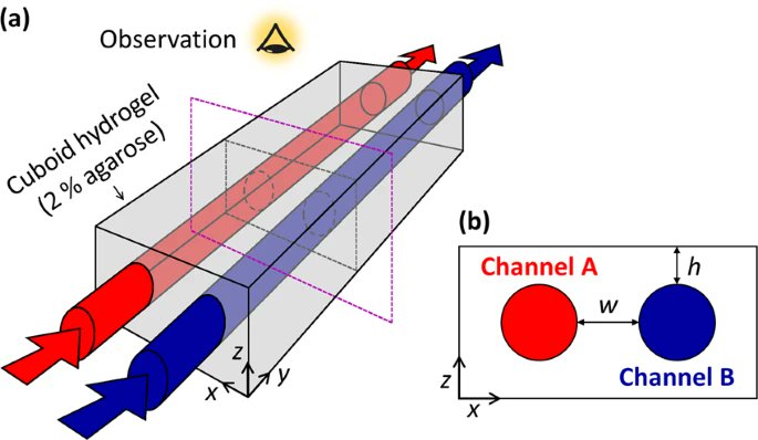 NonlinChem's tweet photo. Read our latest #research on #nonlinear #chemistry and #selforganization, published with @SpringerNature in @CommsChem (https://t.co/y8GHsKFvKp). 
#ELTE
#eltettk
#eltekemia
#chemistry https://t.co/pRwmXItyEG