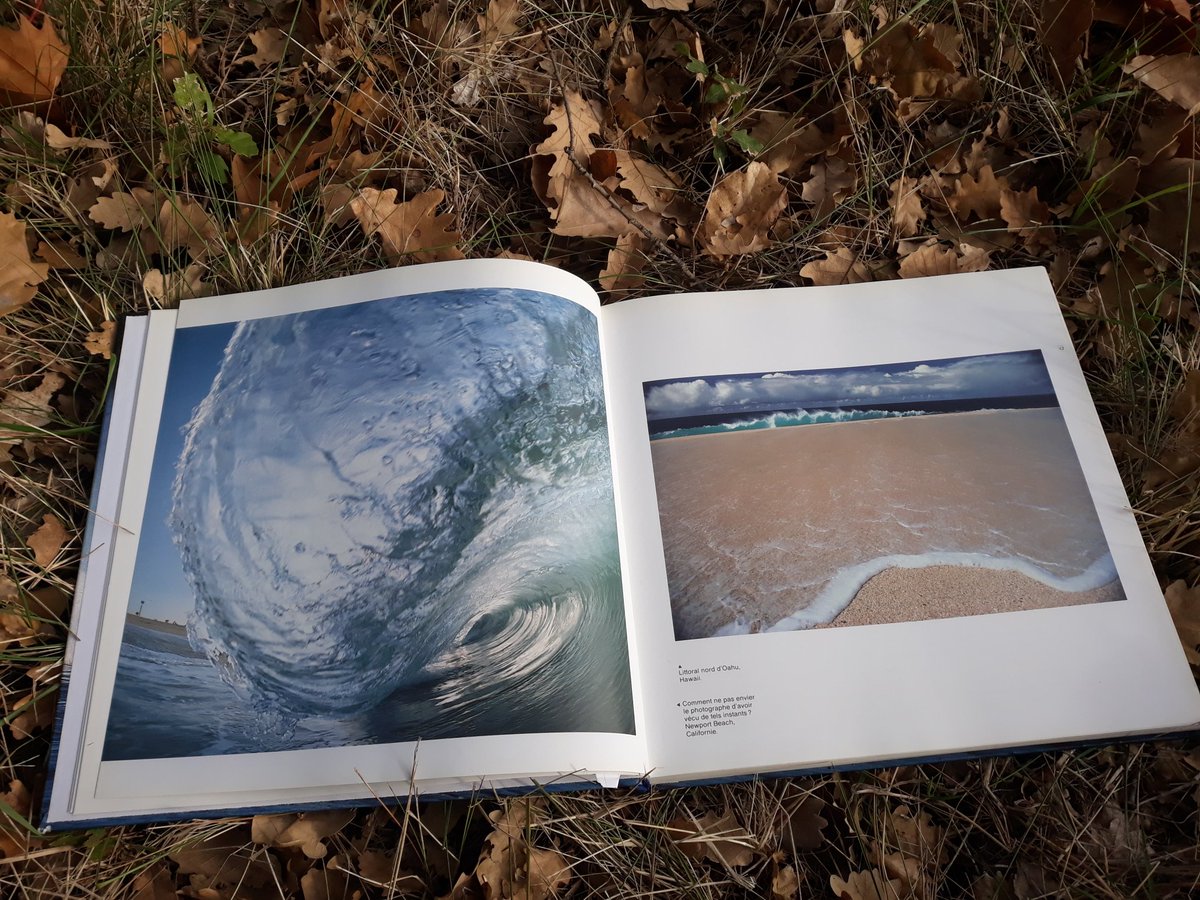 QuantDavid's tweet photo. Source d inspiration: le livre "vagues, l énergie magnifique" de Paul Robin, des photos superbes idéales pour imaginer de futurs tableaux...#ocean #livres #inspiration #peinture #tableaumer #seascape #davidquant #ArtistOnTwitter https://t.co/9kWRY7C7GX