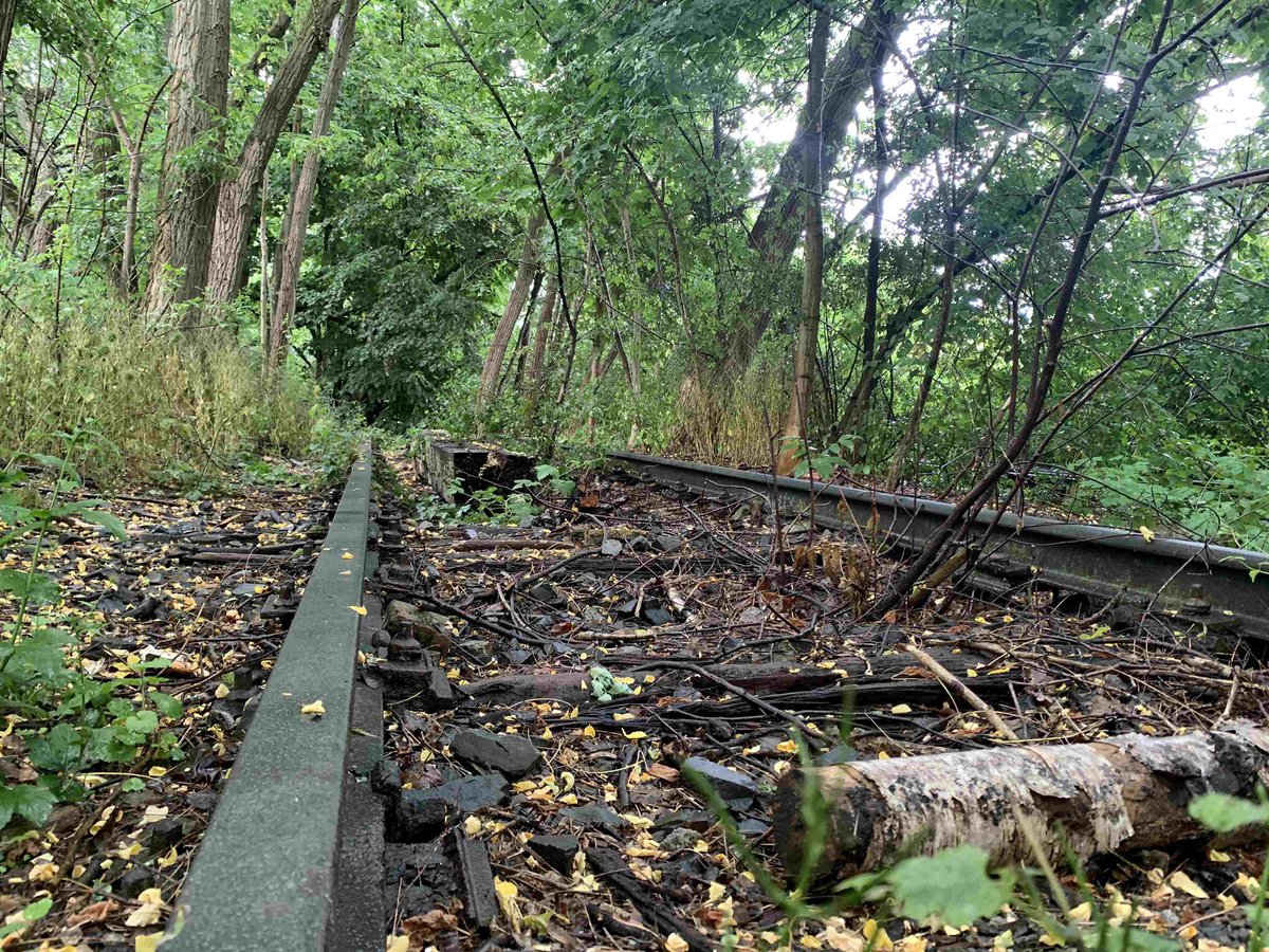 ChernoJobatey's tweet photo. Natur-Park #Südgelände. Früher riesiger Rangierbahnhof, heute bahnbrechende Natur &amp; Kunst. Mein #LostPlaces-Tipp fürs Wochenende. Und ihr?👀

#Berlin’s ‘Südgelände‘: The old #marshallingyard is a great mix of wild #nature #art &amp; decaying railway. My lost place for the weekend.👀 https://t.co/N7YSiaR8nG