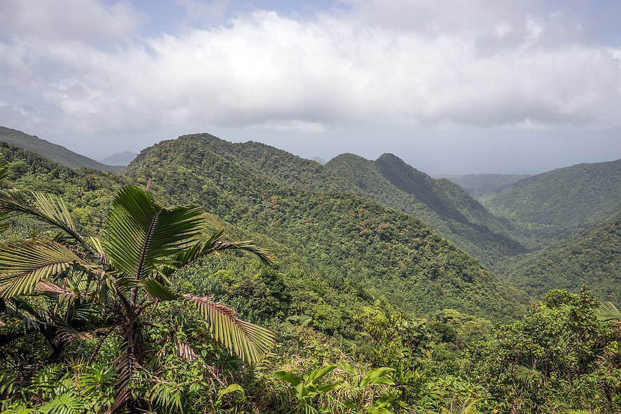 Scrap metal, also known as secondary raw materials, means less use of precious natural resources to make new metal compounds. Virtually all metals can be recycled into high quality new metal. 

Be kind to the planet, recycle your metal. #WorldKindnessDay 

recyclemetals.org/about-metal-re…