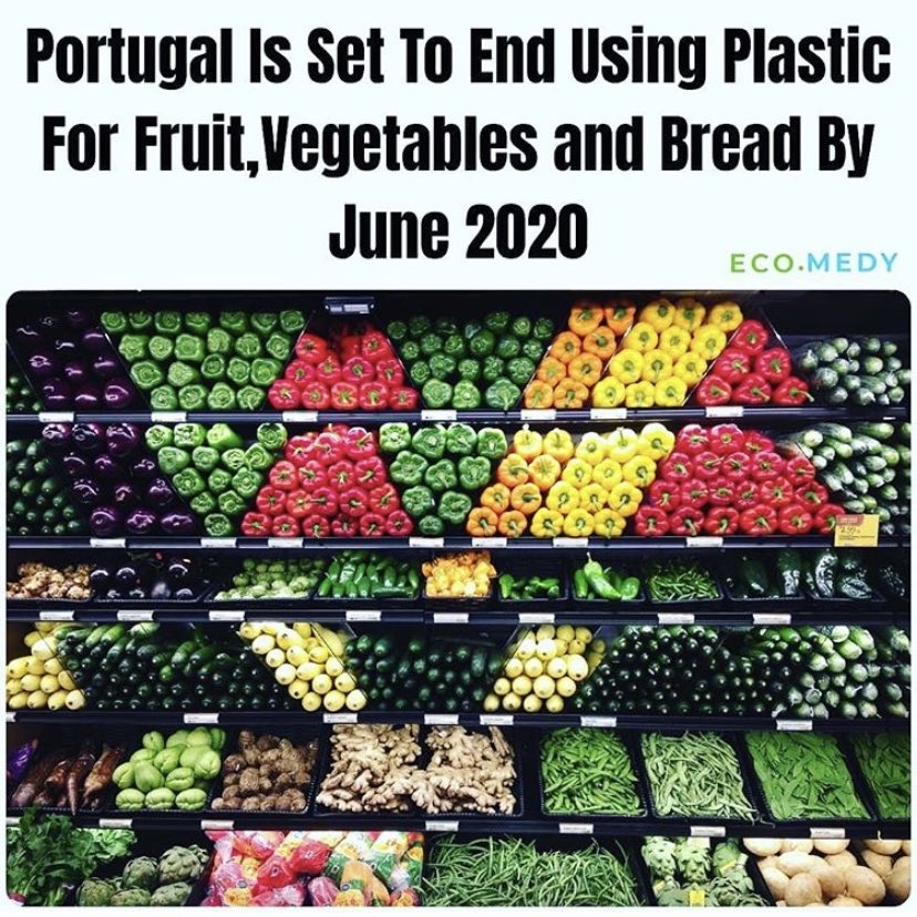 EnviroThinkNow's tweet photo. Portugal has announced a new bill that has delighted environmental activists around the world: banning multiple varieties of single-use plastic from stores.
-
Follow @envirothinkchange on Instagram 
-
📸- @eco.medy https://t.co/mkldqj9LLU