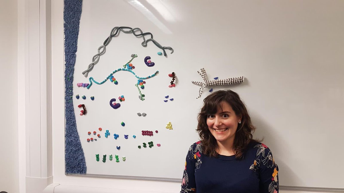 Marilia will be missed by everybody in the lab, but she made us a nice model to remember her by! We managed a socially-distanced gathering at work to say goodbye, but this is to be continued with a proper celebration when life returns to normal…