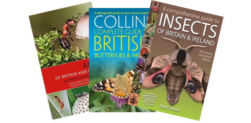 Sign up to the Atropos Books e-newsletter to keep up to date with new releases and special offers on books for butterfly, dragonfly and moth enthusiasts. Titles on identification, ecology and behaviour for beginners and experienced entomologists alike. eepurl.com/dy5IAP
