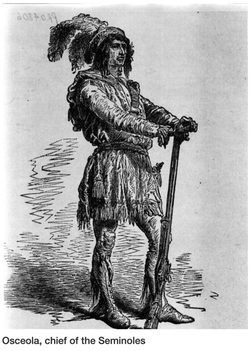 flgullahgeechee's tweet photo. They liked to smoke tobacco. They drank tea made from #yaupon #hollyleaves, a tree found throughout Jacksonville. The black brew had caffeine in it, and was also used for a war ceremonial purging effect. They used herbs for healing. #AsEYEsipmyCOFFEE  #IntermittentFasting https://t.co/h0wCjKo9cc