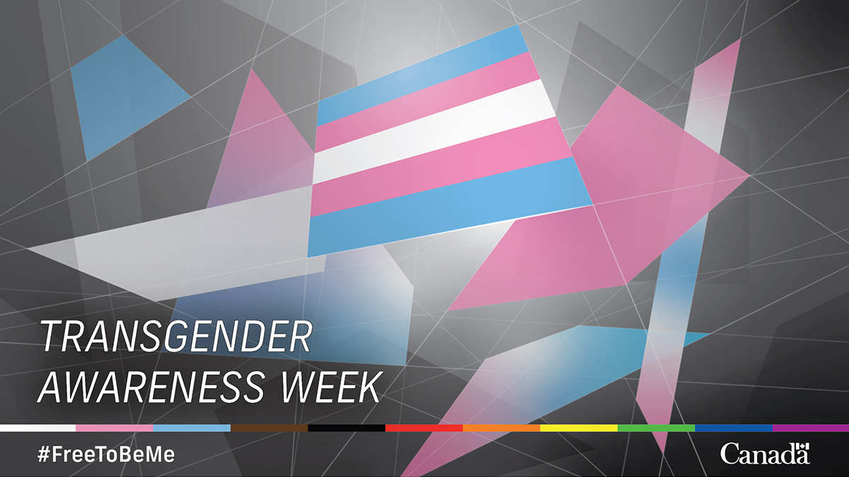 freetobeme_ca's tweet image. To mark #TransgenderAwarenessWeek, let’s honour &amp;amp; bring visibility to Trans, Two-Spirit, &amp;amp; non-binary people in 🇨🇦. As we continue to fight transphobia &amp;amp; all forms of violence against these communities, join the conversation with the hashtags #TransWeek &amp;amp; #TDOR on social media.