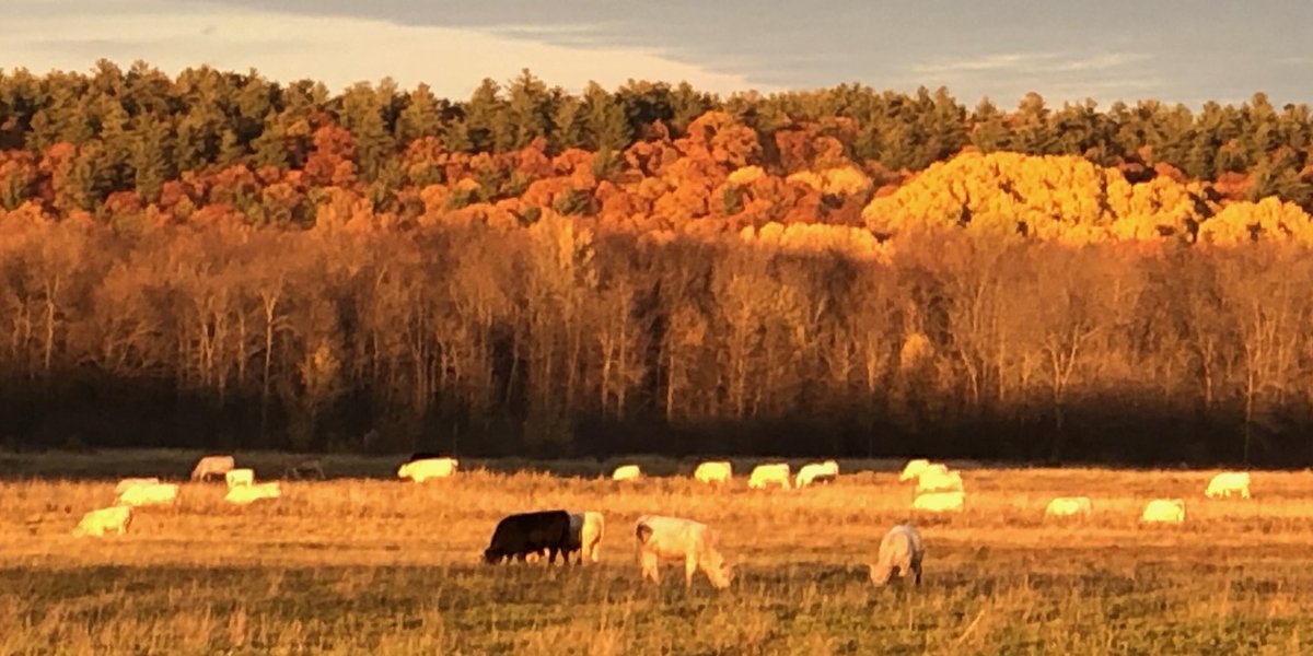 craigoattes's tweet photo. Everyone here is enjoying this beautiful fall weather lately while the rest of the country is in snow and freezing temperatures https://t.co/hp0UDquLX3