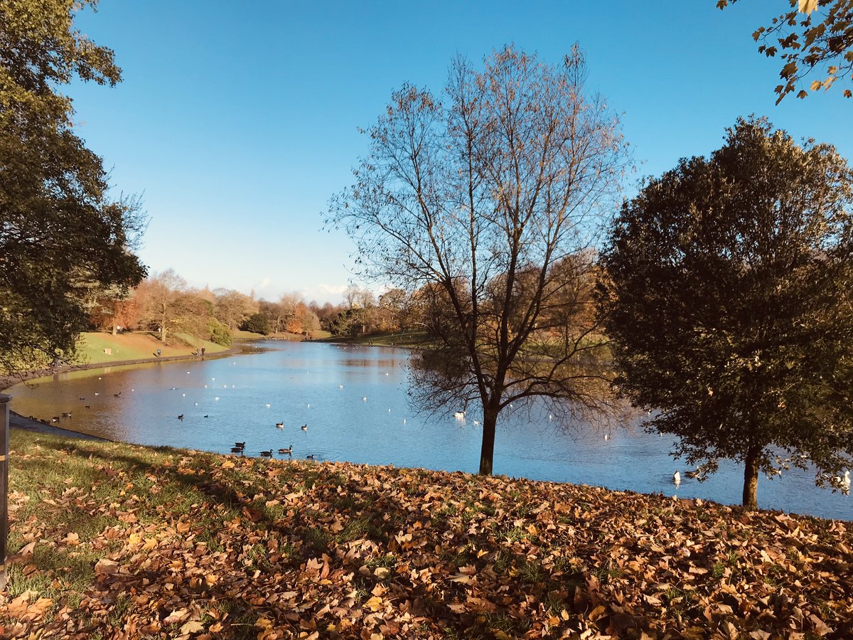 SharonOBrien23's tweet photo. Love my city. Sefton Park in Autumn is simply stunning x https://t.co/GH4jLQbmpE