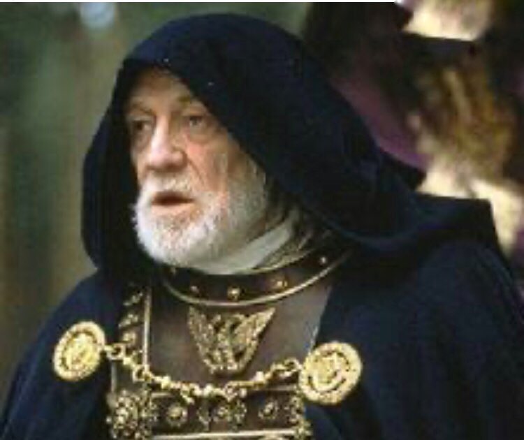 C’est lorsqu’il devient Préfet de la flotte germanique qu’il obtient la faveur et la protection de l’empereur Marc Aurèle qui le fait entrer dans l’ordre sénatorial. Après avoir reçu le commandement de la Legio I, Pertinax devient consul et en 180, gouverneur de la Syrie.