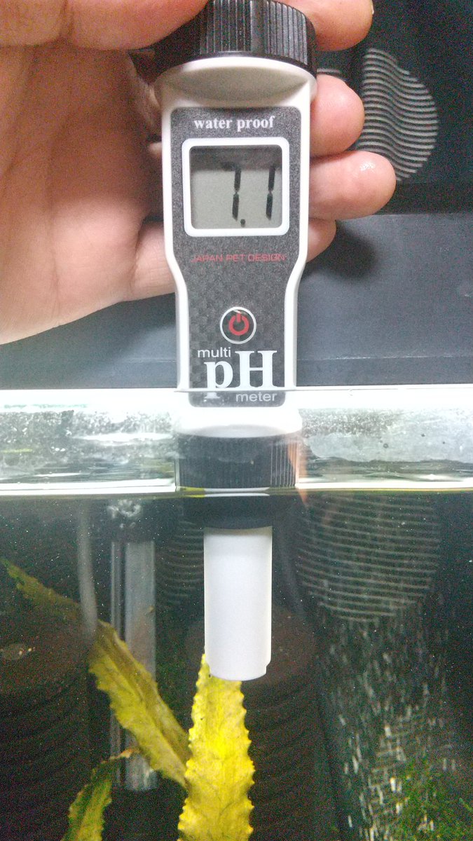 エビ作 今度は長繊維の無調整ピートモスでphを下げようと挑みましたが だめでした 立ち上げ年の1月 4月 5月 8月 水槽はph7 1 立ち上げ 10月水槽はph6 3 でした ピートモス マジックリーフではここの水は微動だにしませんw T Co