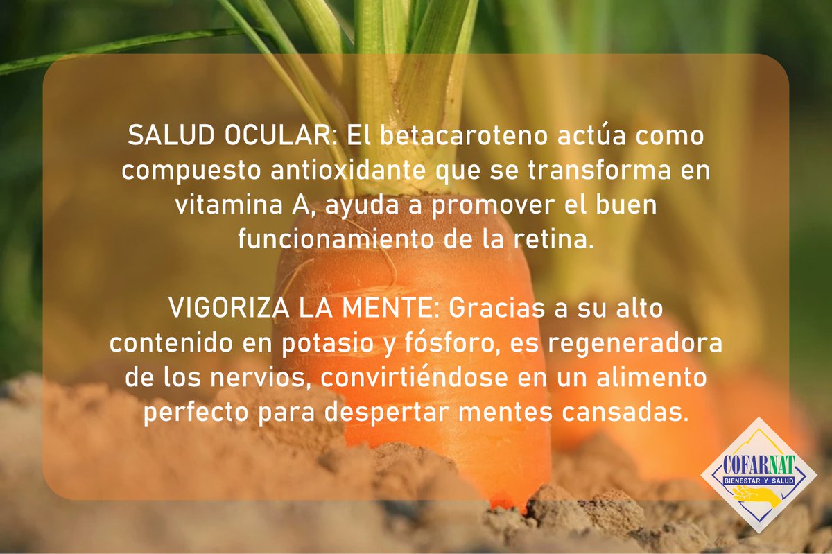 LabCofarnat's tweet image. BENEFICIOS DEL BETACAROTENO Y LA ZANAHORIA