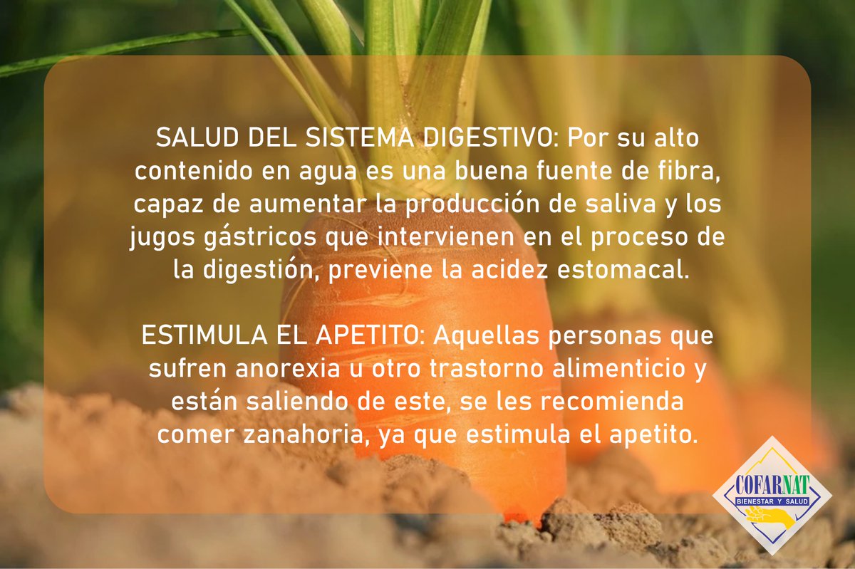 LabCofarnat's tweet image. BENEFICIOS DEL BETACAROTENO Y LA ZANAHORIA