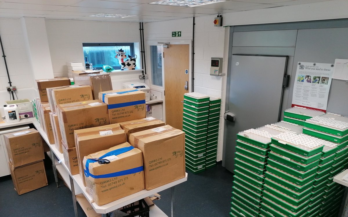 QMMS (@qmms_milk) on Twitter photo 1st delivery - yet another record day. Looking for more staff to join our keen and ever expanding team. Interested? Contact us on enquiries@qmms.co.uk 1st delivery - yet another record day. Looking for more staff to join our keen and ever expanding team. Interested? Contact us on enquiries@qmms.co.uk