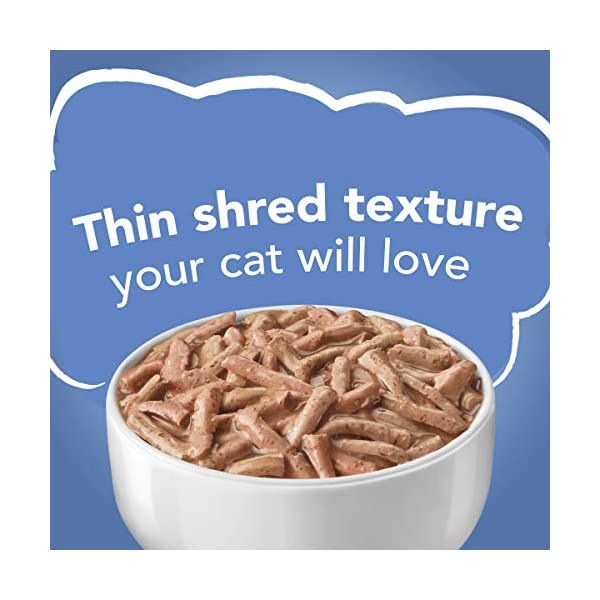 BillisPet's tweet photo. https://t.co/DFp7zbouh9
Four flavors of shreds cat food. Yum.
#petsupplies #catsupplies #dogsupplies #cattoy #interactivetoy #electronictoy #chewtoy #squeaktoy #tugtoy #fetchtoy #plushtoy #catnip #scratchingpost #hammock #catbed #petfountain #collar #harness #leash #tieout https://t.co/cm94Whq6hV