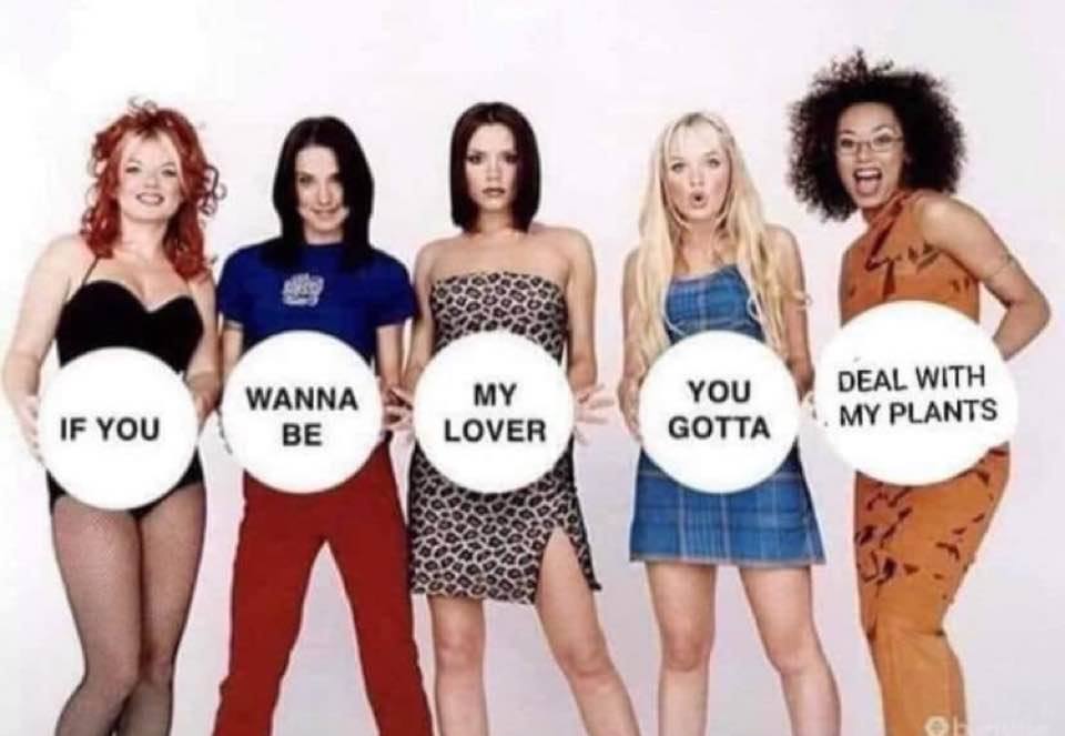 WholesomeMeme's tweet photo. https://t.co/IbBX6dHCHM