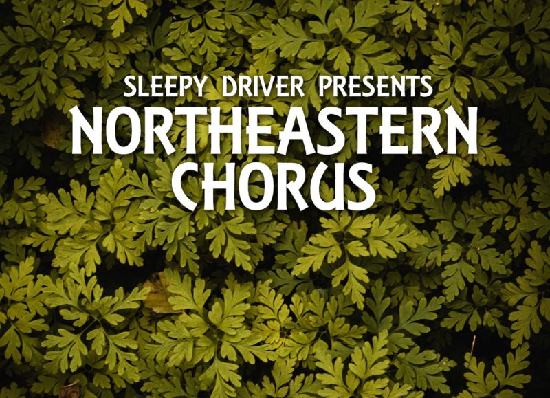 FredTourism's tweet photo. An evening of great music with collaborative music by Northeastern Chorus! @FredPlayhouse Nov 27, 7:30pm #SleepyDriver #SupportFredLocal https://t.co/ZafoIEL32C https://t.co/NouyyPzRc4