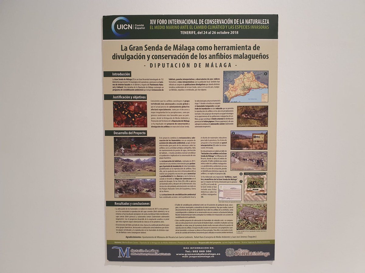 @AcademiaAgp (@academiaagp) on Twitter photo Acércate a la <a href="/SEAPMalaga/">La Económica</a> para visitar la magnífica exposición #AnfibiosEspañoles y podrás recoger un catálogo de la muestra, al igual que hicieron los académicos <a href="/Fed_soriguer/">Federico Soriguer</a> y <a href="/v_diazdelrio/">Víctor Díaz-del-Río Español</a>. Y no te pierdas el post del Presidente <a href="/herpetologica/">AHE</a>:
…ademiamalaguenaciencias.wordpress.com/2020/11/08/otr… Acércate a la <a href="/SEAPMalaga/">La Económica</a> para visitar la magnífica exposición #AnfibiosEspañoles y podrás recoger un catálogo de la muestra, al igual que hicieron los académicos <a href="/Fed_soriguer/">Federico Soriguer</a> y <a href="/v_diazdelrio/">Víctor Díaz-del-Río Español</a>. Y no te pierdas el post del Presidente <a href="/herpetologica/">AHE</a>:
…ademiamalaguenaciencias.wordpress.com/2020/11/08/otr…